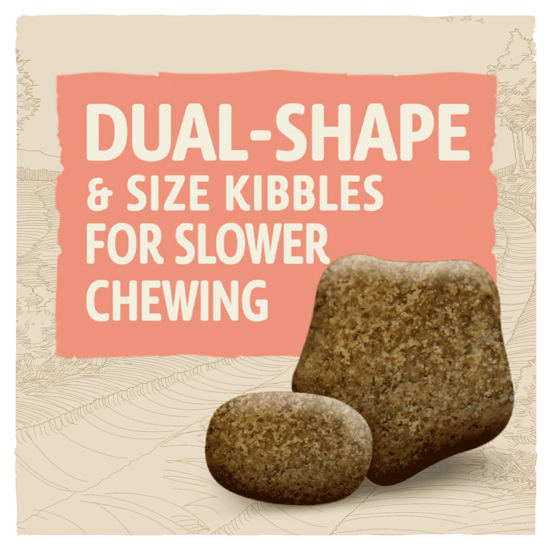 Beta Light Turkey Dog Food 14kg 3 Beta Light Turkey Dog Food 14kg - Image 2