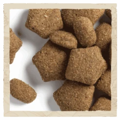 Beta Light Turkey Dog Food 14kg 7 Beta Light Turkey Dog Food 14kg -Pet Care Supplies Store 2 BETA A Light Turkey FB 1080x10804 1 423b0ca0 dd6a 4231 8fdf 69c3cc225320