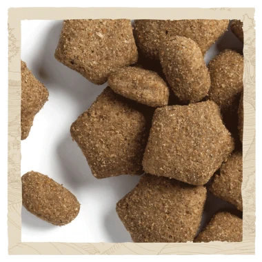 Beta Light Turkey Dog Food 14kg 4 Beta Light Turkey Dog Food 14kg - Image 3