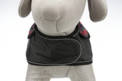 Trixie Hermy Dog Coat 2 In 1 9 Trixie Hermy Dog Coat 2 In 1 -Pet Care Supplies Store 259234 PHO PRO DET 681000 681001 681002 681003 1