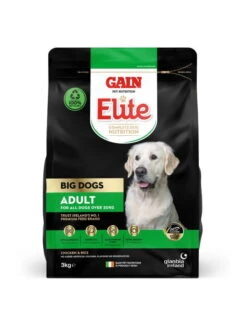 Gain Elite Lifesize Big Dog Adult Chicken