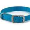 Ancol S2 Nylon Dog Collar 14" Blue -Pet Care Supplies Store 5016646313171 blue ancol nylon dog collar