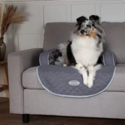 Scruffs Wilton Pet Sofa Bed -Pet Care Supplies Store 820068 1 740x 5f063a6c e6a1 473e adb2 a5d13d1ec476