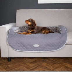 Scruffs Wilton Pet Sofa Bed -Pet Care Supplies Store 820075LS5 740x b59b69cb 02b7 4d8b bfcc 9b86fbca5b13