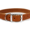 Ancol Heritage Leather Sewn Half Lined Collar Tan (20-26cm) 2 Ancol Heritage Leather Sewn Half Lined Collar Tan (20-26cm) -Pet Care Supplies Store AN100100