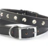 Ancol S2 Black Sewn Studded Collar (Size 2 - 26-31cm) 2 Ancol S2 Black Sewn Studded Collar (Size 2 - 26-31cm) -Pet Care Supplies Store ANCOL S2 BLACK SEWN