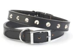 Ancol S2 Black Sewn Studded Collar (Size 2 - 26-31cm)