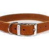 Ancol S2 Sewn Lined Dog Collar Tan (Size 2 - 26-31cm)