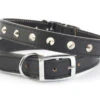 Ancol Stud Collar Black 28-36cm Size 3 -Pet Care Supplies Store ANCOL S3 BLACK SEWN STUDDED COLLAR 16 E2 80 B3