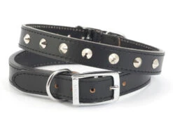 Ancol Stud Collar Black 28-36cm Size 3