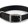 Ancol S4 Nylon Dog Collar Black (Size 4 - 35-43cm) -Pet Care Supplies Store Ancol Nylon Dog Collar Black Size 4 35 43cm