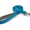 Ancol Nylon Lead Blue 1m X 25MM 1 Ancol Nylon Lead Blue 1m X 25MM -Pet Care Supplies Store Ancol Nylon Lead Blue 1 E2 80 B3 X 25MM