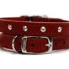 Ancol S2 Red Sewn Studded Dog Collar (26-31cm Size 2) 2 Ancol S2 Red Sewn Studded Dog Collar (26-31cm Size 2) -Pet Care Supplies Store Ancol S2 Red Sewn Studded Dog Collar 14
