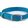Ancol S5 Nylon Collar 20" Blue -Pet Care Supplies Store Ancol S5 Nylon Collar 20 Blue