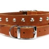 Ancol S6 Sewn Studded Dog Collar Tan 22" -Pet Care Supplies Store Ancol S6 Sewn Studded Dog Collar Tan 22