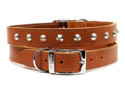 Ancol S6 Sewn Studded Dog Collar Tan 22"