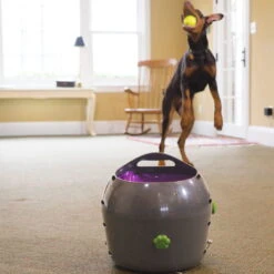 PetSafe Automatic Ball Launcher For Dogs