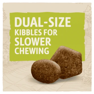 Beta Adult Chicken Dog Food 2kg 6 Beta Adult Chicken Dog Food 2kg - Image 4