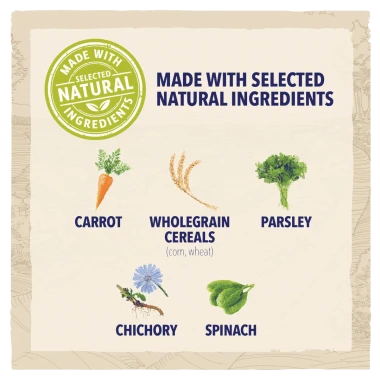 Beta Adult Chicken Dog Food 2kg 5 Beta Adult Chicken Dog Food 2kg - Image 3