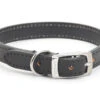 Ancol Heritage Sewn Lined Leather Dog Collar (Black 26-31cm Size 2) 1 Ancol Heritage Sewn Lined Leather Dog Collar (Black 26-31cm Size 2) -Pet Care Supplies Store BLACK DOG COLLAR