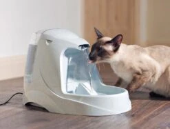 PetSafe Drinkwell® Platinum Pet Water Fountain -Pet Care Supplies Store Drinkwell C2 AE Platinum Pet Fountain