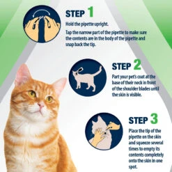 Fleaway Plus Spot-On For Cats And Ferrets -Pet Care Supplies Store Fleaway plus 4