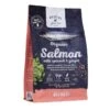 Red Mills Go Native Salmon With Spinach & Ginger 1 Red Mills Go Native Salmon With Spinach & Ginger -Pet Care Supplies Store Go Native Salmon with Spinach Ginger 01 1000x1000 crop center 1