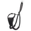 Halti No Pull Harness Small -Pet Care Supplies Store Halti no pull harness medium d0cd7c28 503a 4a38 adaf be1b5a0a358c