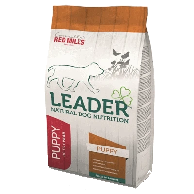 Leader Puppy Medium 3 Leader Puppy Medium