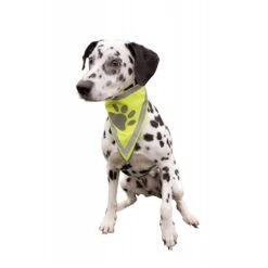 Trixie Safety Neckerchief For Dogs -Pet Care Supplies Store New Project 10