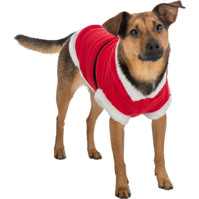Trixie Christmas Santa Coat 4 Trixie Christmas Santa Coat - Image 2