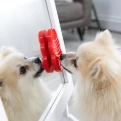 KONGLicks 8 KONGLicks -Pet Care Supplies Store PLP3E LIFE 2