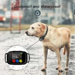 Pawguard B630 Bark Control Collar – Dual-Trigger Recognition System -Pet Care Supplies Store PawguardBarkControl6Petworld.ie