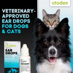 Otodex Eardrops 14ml -Pet Care Supplies Store Petlife otodex eardrops 2