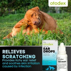 Otodex Eardrops 14ml -Pet Care Supplies Store Petlife otodex eardrops 5