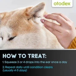 Otodex Eardrops 14ml -Pet Care Supplies Store Petlife otodex eardrops 8