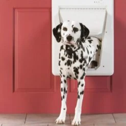 Front Page -Pet Care Supplies Store Petsafe SmartDoor Electronic Pet Door 18378c10 0cdb 4ce4 8801 c104c13cd76a