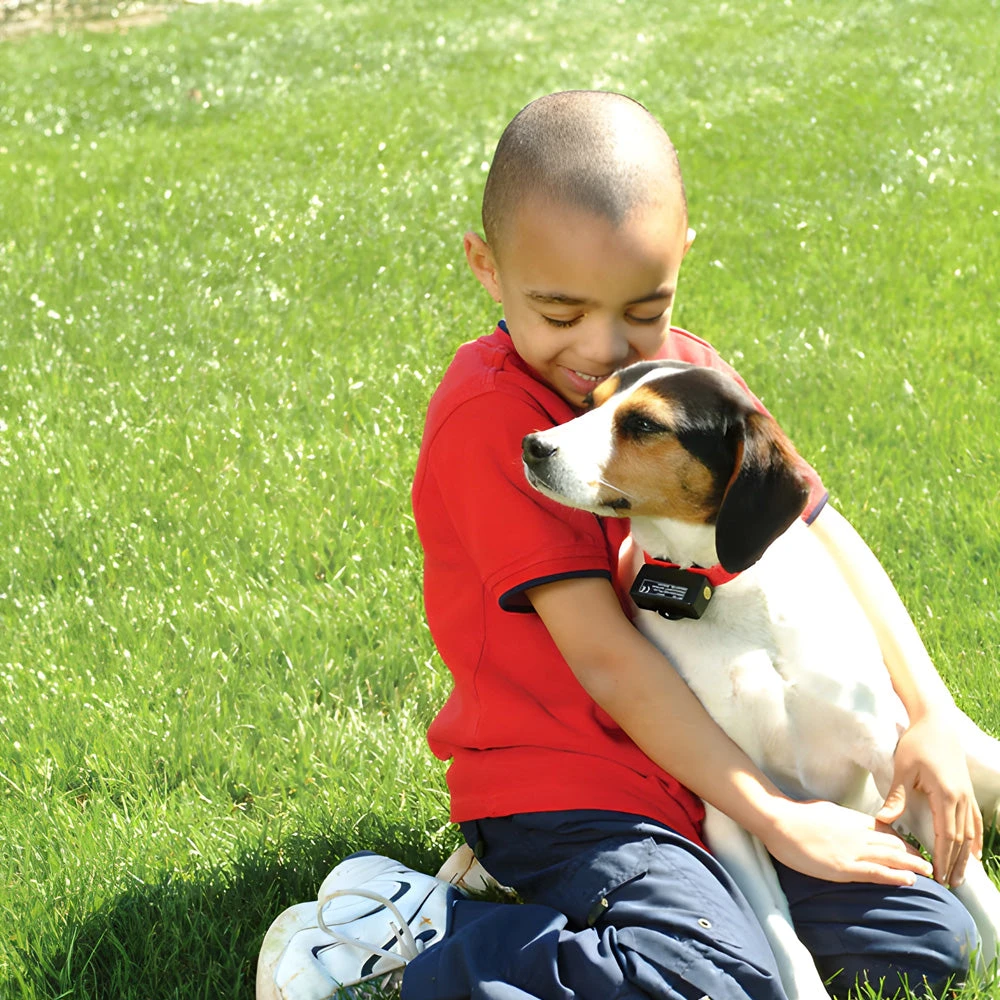 PetSafe Bark Collar - Static Anti Bark Collar For Dogs 5 PetSafe Bark Collar - Static Anti Bark Collar For Dogs - Image 3