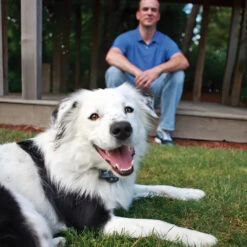 Wireless Radio Fence From Petsafe -Pet Care Supplies Store Petsafe wireless fence ireland 2 d0ba9d28 4fbb 427e 9e5e 5a35906b230f