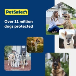 Wireless Radio Fence From Petsafe -Pet Care Supplies Store Petsafe wireless fence ireland 7