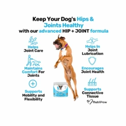 Nutripaw Hip And Joint Treats 10 Nutripaw Hip And Joint Treats -Pet Care Supplies Store ProductsPetworld 2025 05 28T141421.490