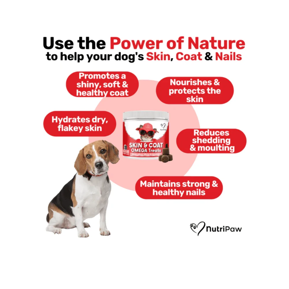 Nutripaw Skin And Coat Omega Treats 4 Nutripaw Skin And Coat Omega Treats - Image 2