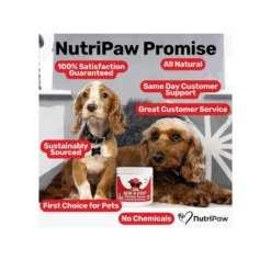 Nutripaw Skin And Coat Omega Treats 13 Nutripaw Skin And Coat Omega Treats -Pet Care Supplies Store ProductsPetworld 2025 05 28T153825.531 84802fd5 aac1 40cb 928a 525828bdf7cc