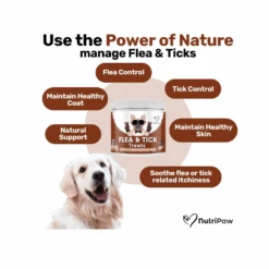 Nutripaw Flea And Tick Treats -Pet Care Supplies Store ProductsPetworld 2025 05 28T155547.361