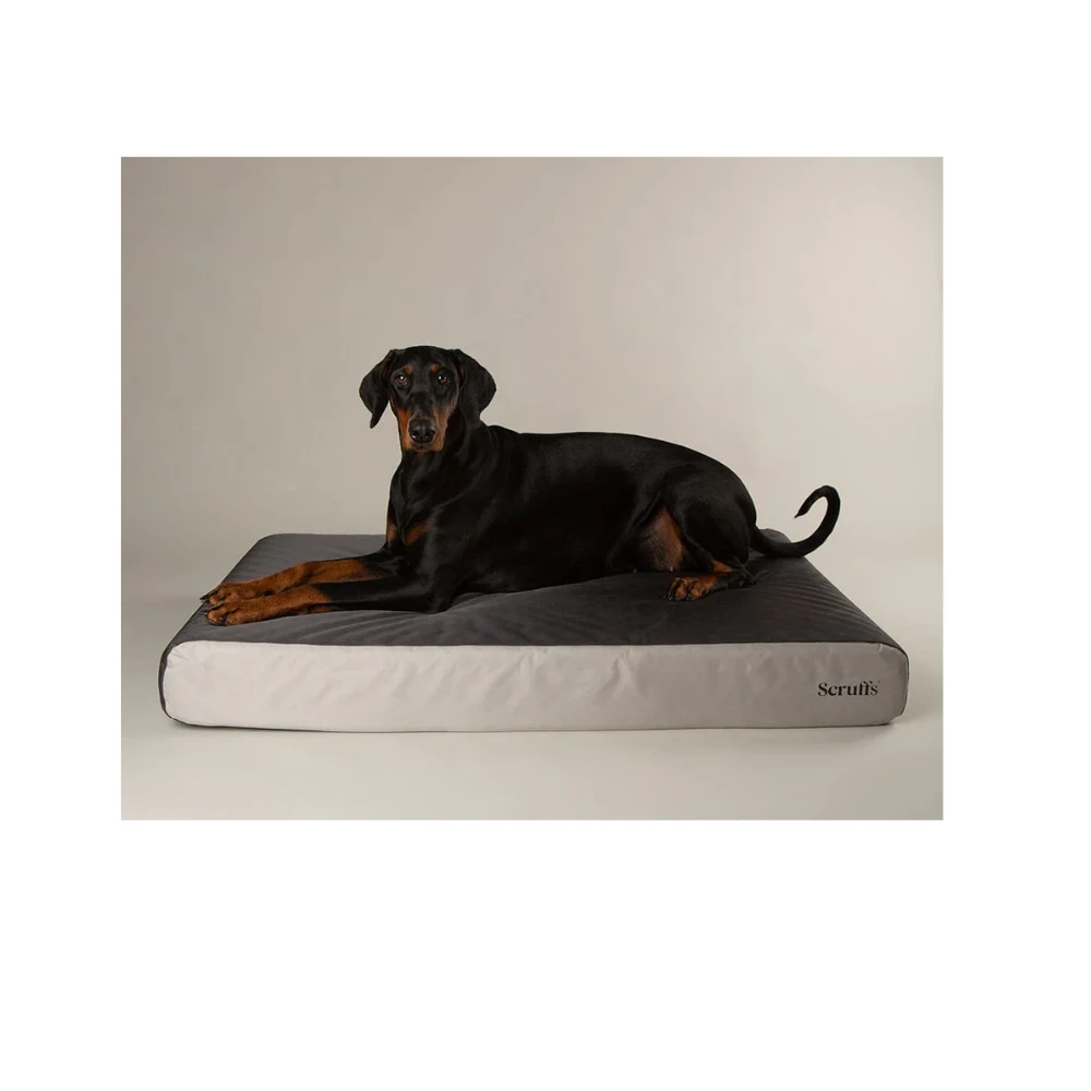 Scruffs ArmourDillo Orthopaedic Dog Bed 3 Scruffs ArmourDillo Orthopaedic Dog Bed