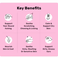 Nutripaw All-Itch & Immunity Treats -Pet Care Supplies Store ProductsPetworld 45 49f790a9 29d0 41b0 b7eb a31bd7ea0db3