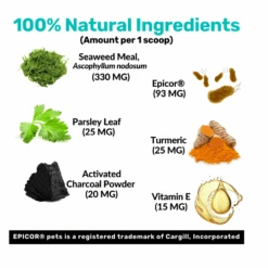 Nutripaw Dental Powder 100 Scoops -Pet Care Supplies Store ProductsPetworld 57 00ff43d8 6f0f 479f be48 033775d6cb20