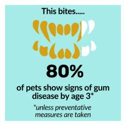 Nutripaw Dental Formula Water Additive 250ml 9 Nutripaw Dental Formula Water Additive 250ml -Pet Care Supplies Store ProductsPetworld 61 23ffd8c4 3a61 4ea7 934d 78005b682d9d