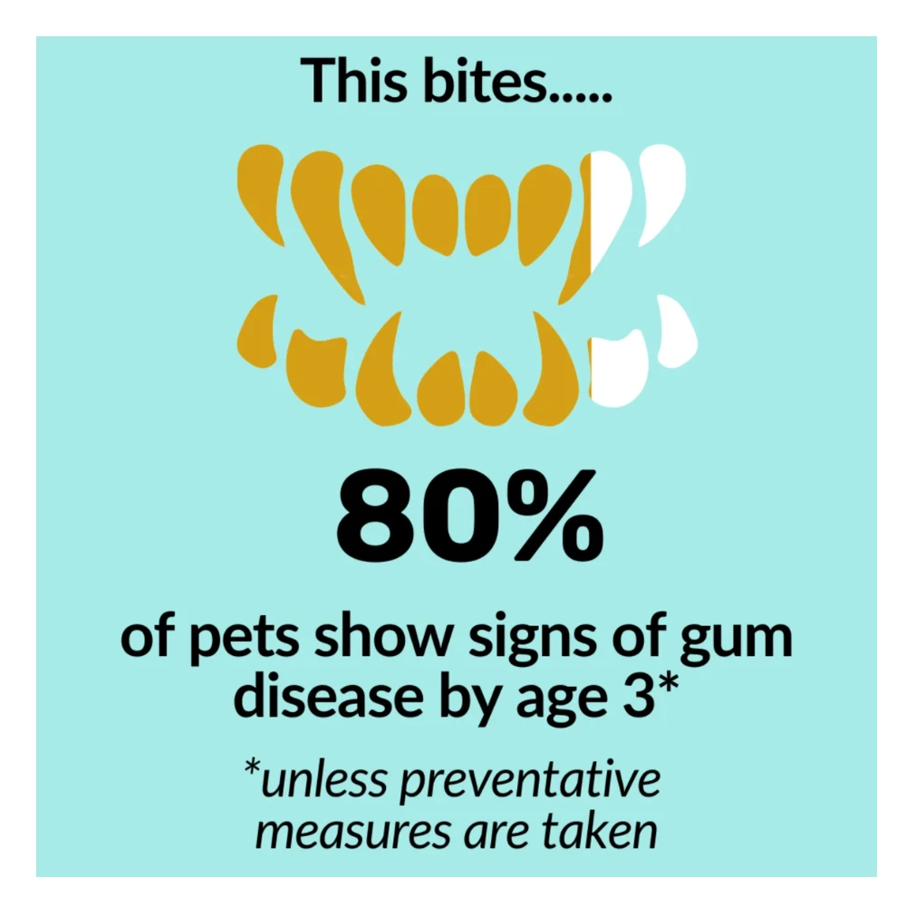Nutripaw Dental Formula Water Additive 250ml 6 Nutripaw Dental Formula Water Additive 250ml - Image 4