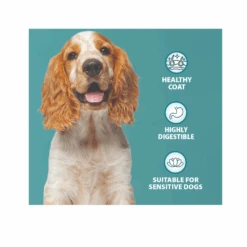 Burns Sensitive Grain Free Adults Turkey & Potato 9 Burns Sensitive Grain Free Adults Turkey & Potato -Pet Care Supplies Store ProductsPetworld 85 a140958d 66dd 4a85 95fd 5a6346d3bd09